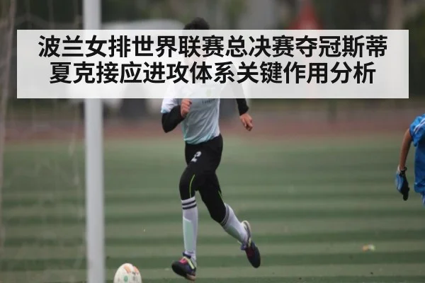 波兰女排世界联赛总决赛夺冠斯蒂夏克接应进攻体系关键作用分析